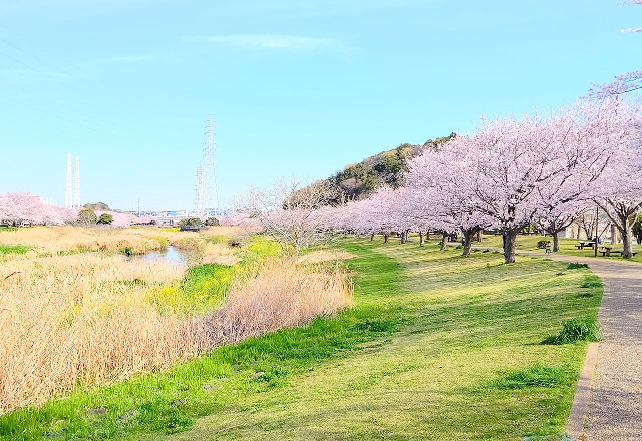 引地川親水公園